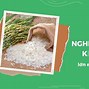 Công Ty Xuất Nhập Khẩu Gạo Sài Gòn