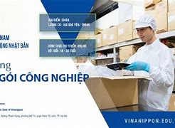 Cty Xklđ Ceo Nhật Bản Tuyển Dụng 2024 Online Shopping