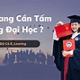 Ngành Quản Trị Kinh Doanh Neu