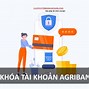 Tài Khoản Nguồn Agribank La Gì